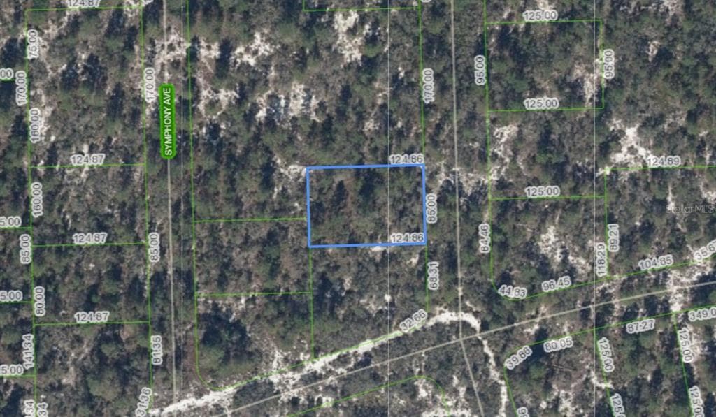 591 BLUE VELVET DRIVE LAKE PLACID, FL 33852