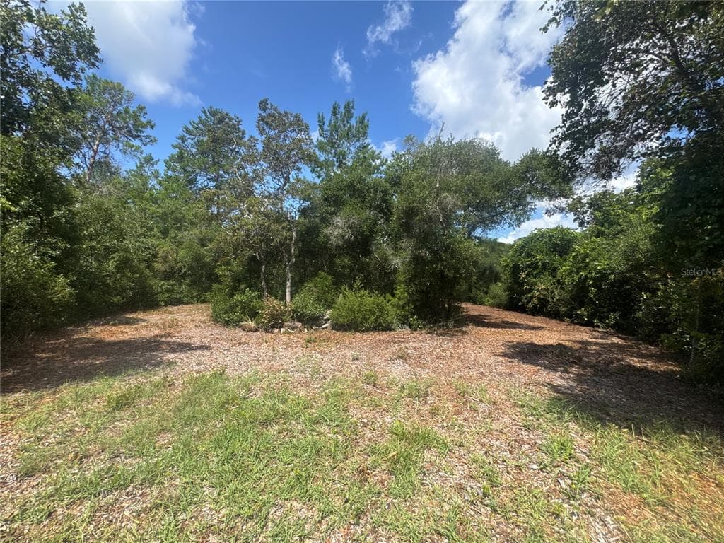 0 NORTH CIRCLE E PAISLEY, FL 32767