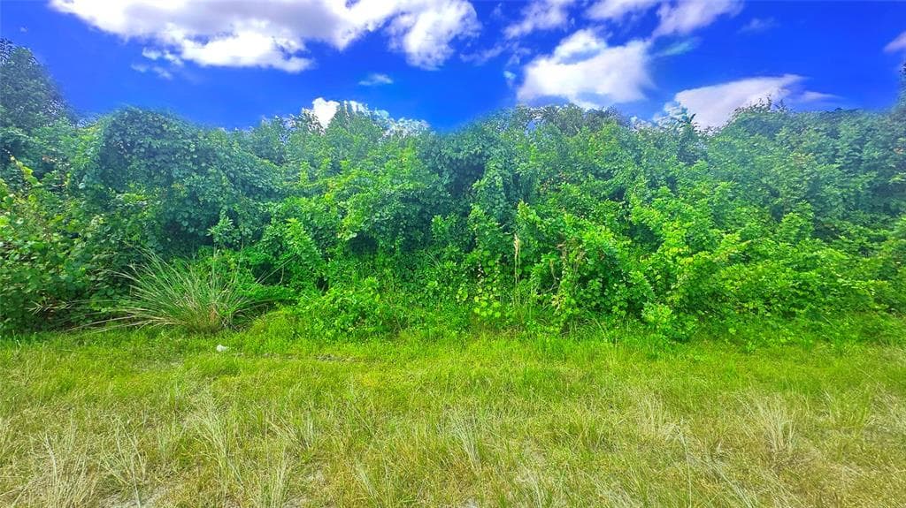 10 SW 24TH AVENUE CAPE CORAL, FL 33991