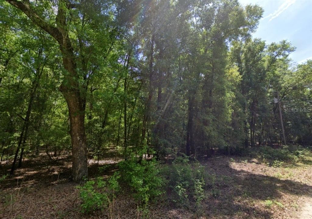 NE WILLOW BEND TERRACE LEE, FL 32059