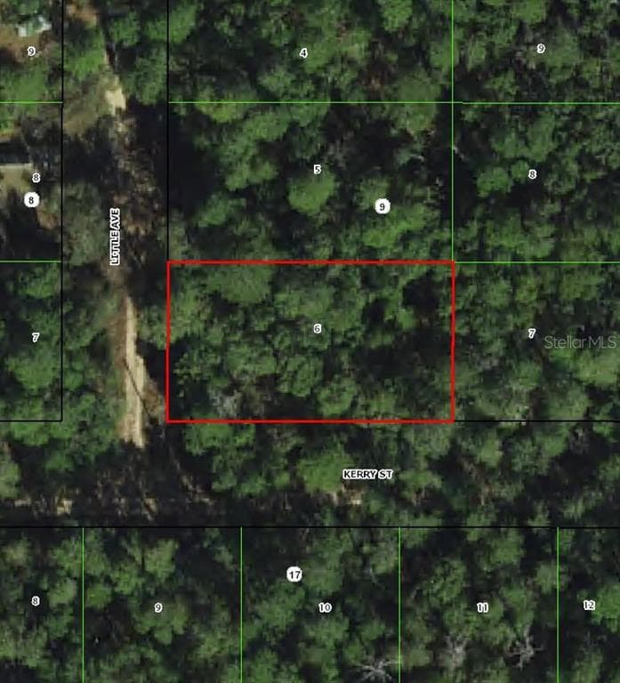 306 LITTLE AVENUE INVERNESS, FL 34452