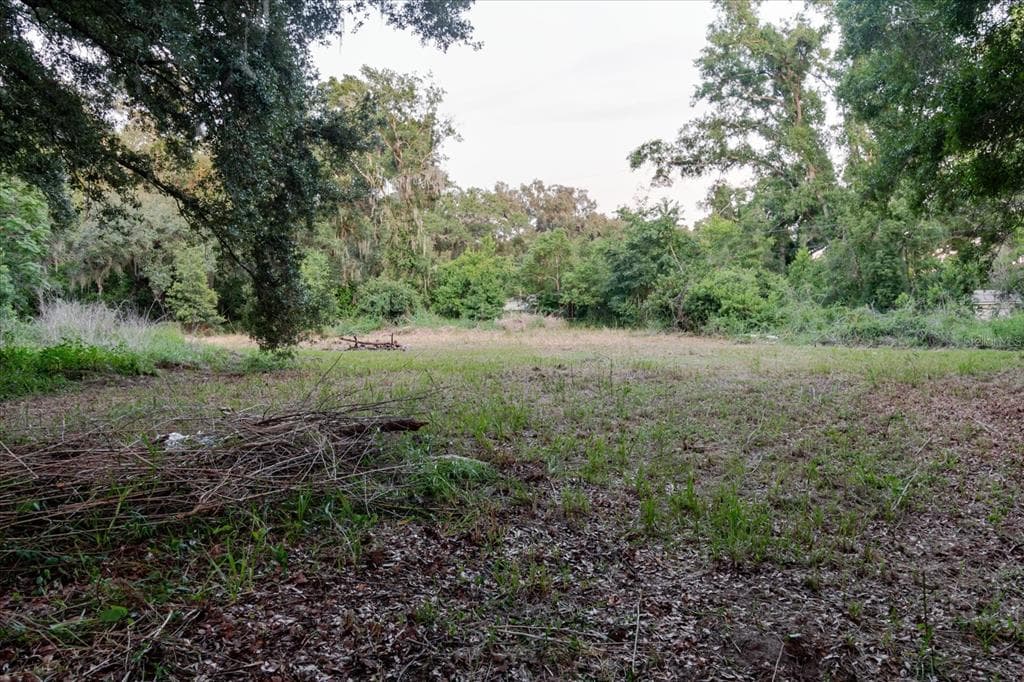 11152 GALAXY LANE THONOTOSASSA, FL 33592