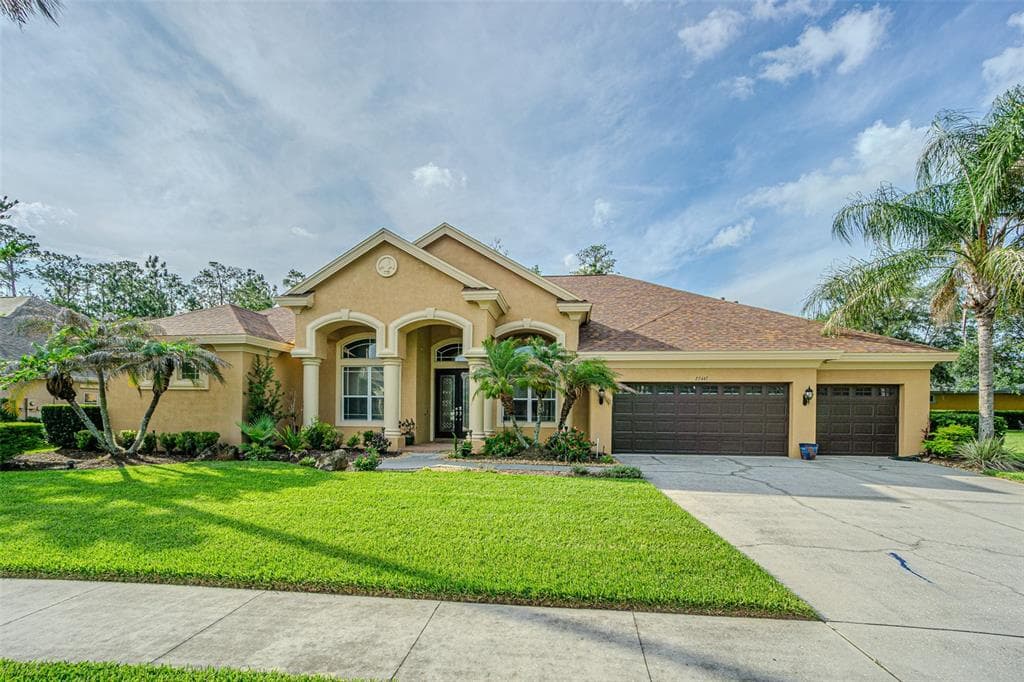 27447 WATER ASH DRIVE WESLEY CHAPEL, FL 33544