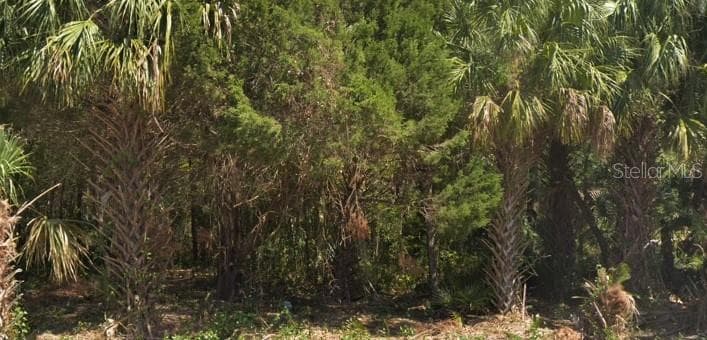 4030 S KINGS AVENUE HOMOSASSA, FL 34446