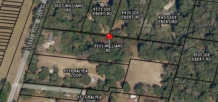 9501 WILLIAMS ROAD SEFFNER, FL 33584