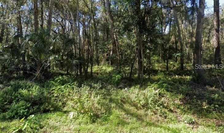 0 ZOLLER STREET BROOKSVILLE, FL 34601