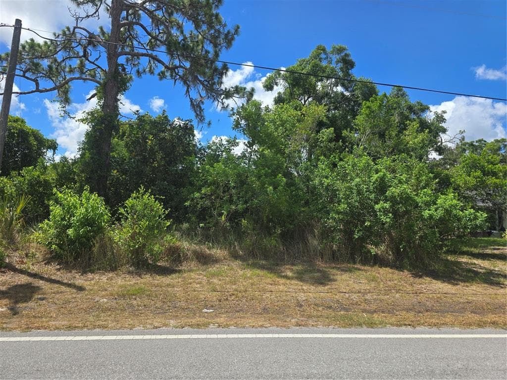 LACEY DRIVE NEW PORT RICHEY, FL 34654