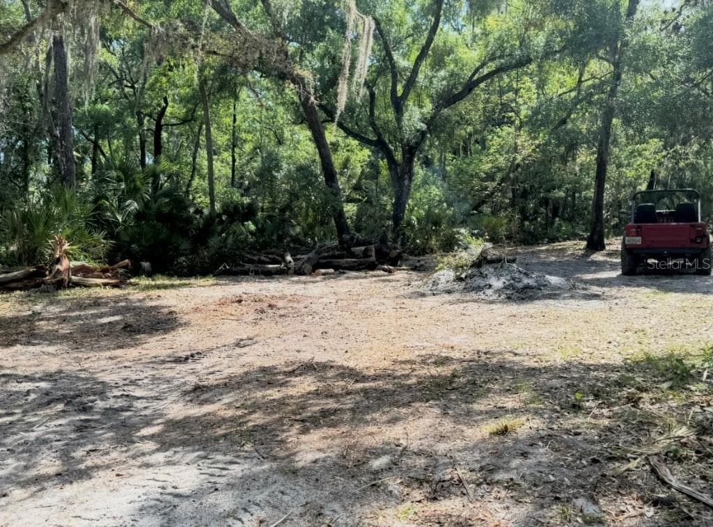901 SHOALS LANDING DRIVE BRANDON, FL 33511