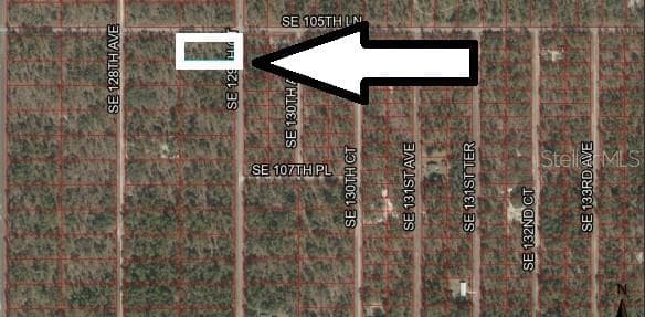 Lot 1 SE 129TH COURT DUNNELLON, FL 34431