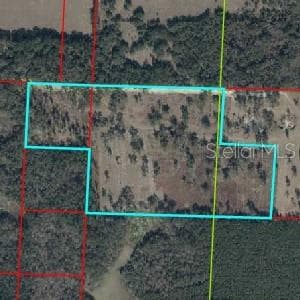 NE 172ND COURT WILLISTON, FL 32696