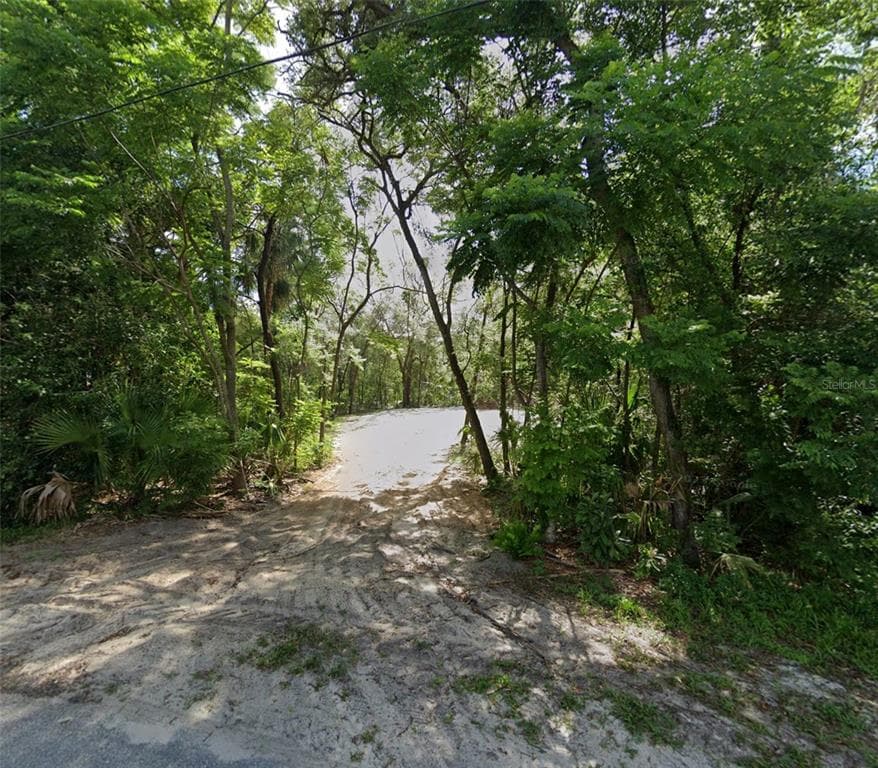2980 N SPARKMAN AVENUE ORANGE CITY, FL 32763