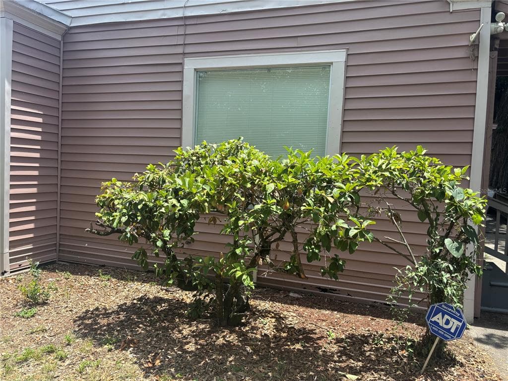 807 E OSBORNE AVENUE
