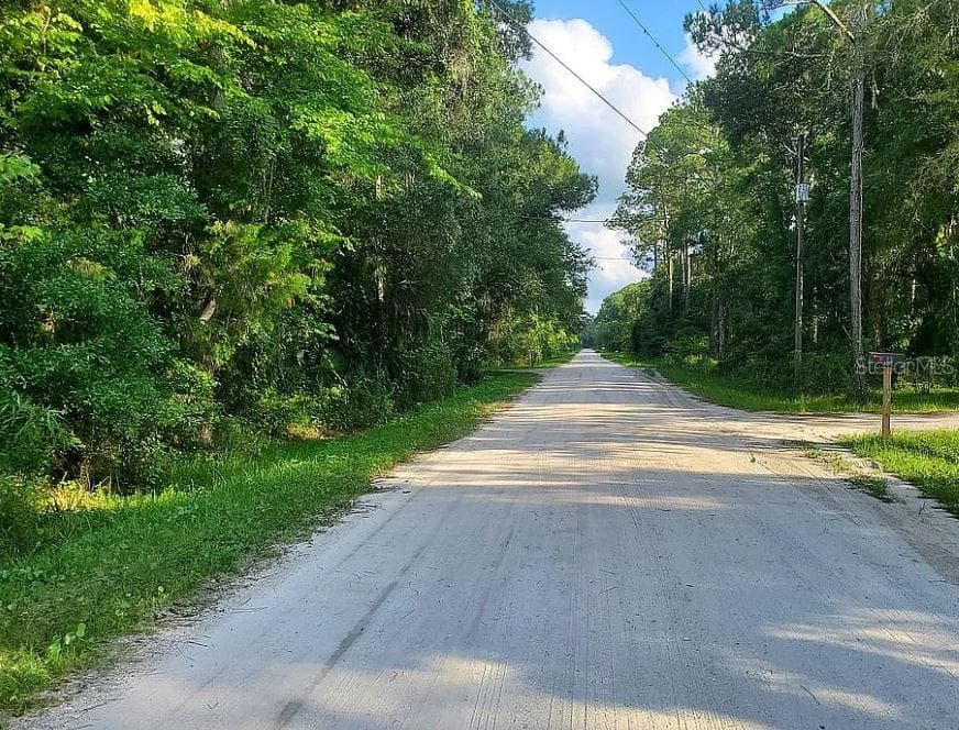 1763 SHERWOOD STREET BUNNELL, FL 32110