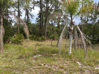 823 PANDORA (BLK 217 LOT 13) DRIVE INDIAN LAKE ESTATES, FL 33855