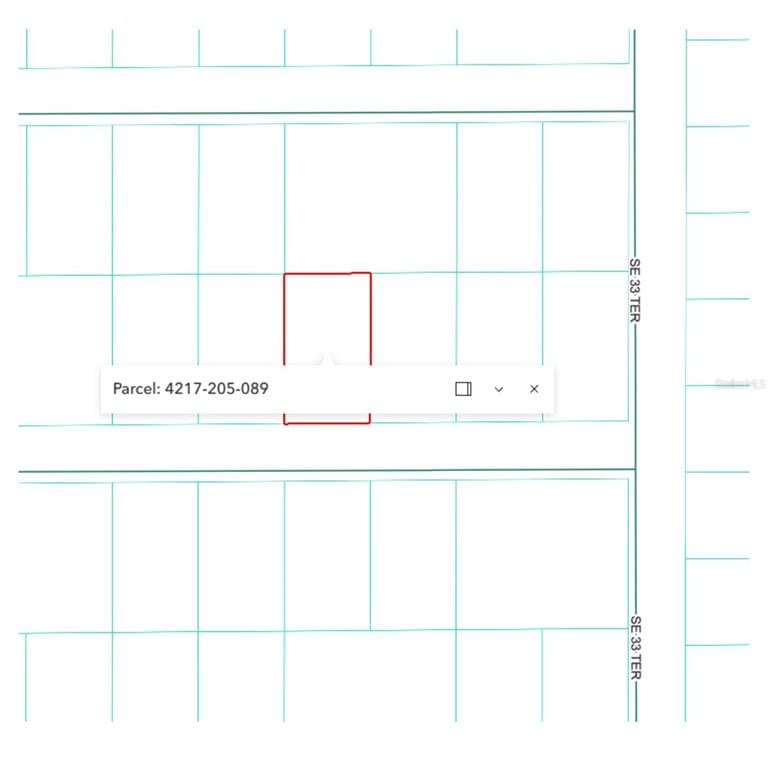 SE 141ST PLACE SUMMERFIELD, FL 34491