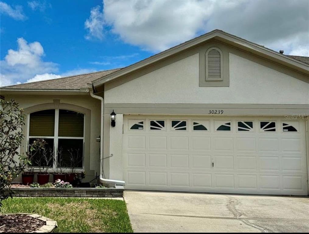30239 EMMETTS COURT WESLEY CHAPEL, FL 33543