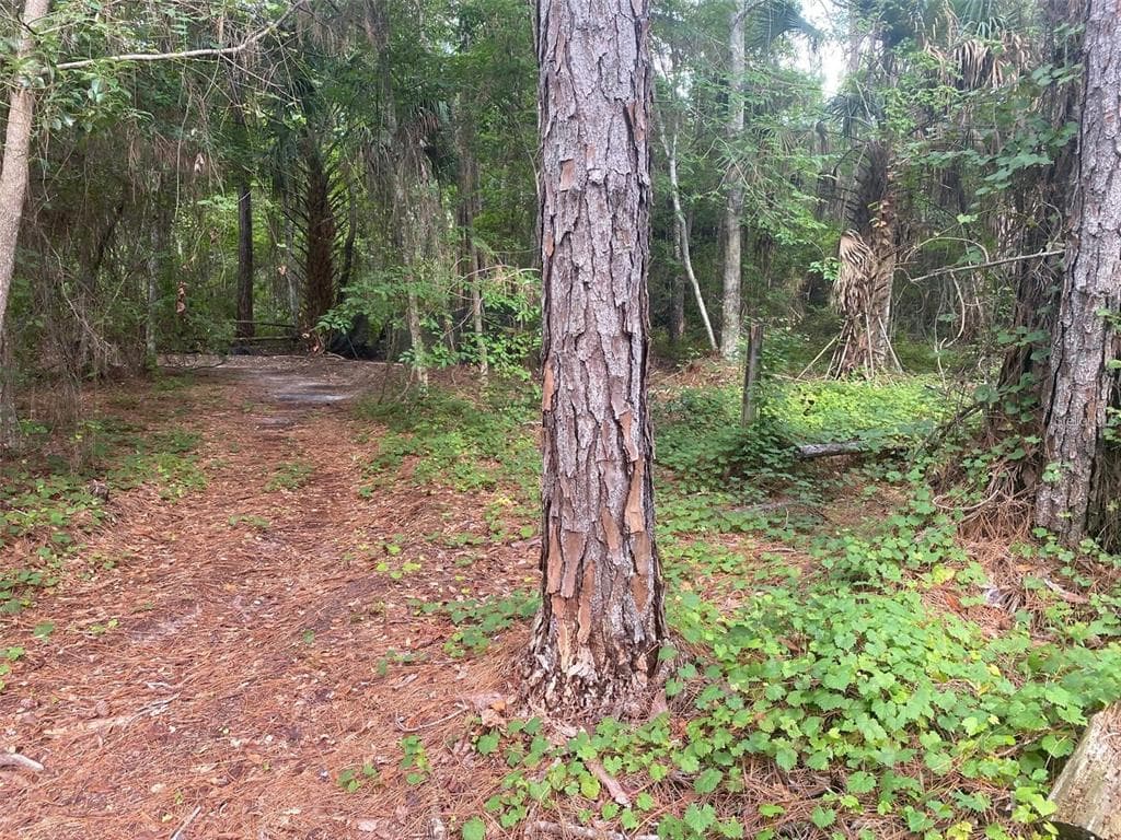 709 GEORGETOWN DENVER ROAD CRESCENT CITY, FL 32112