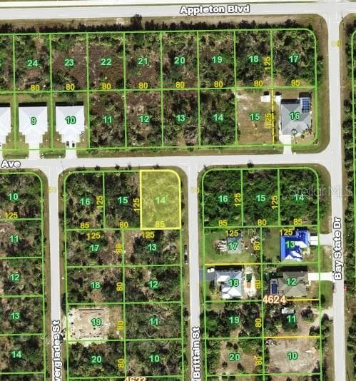 10371 NEW BRITTAIN STREET PORT CHARLOTTE, FL 33981