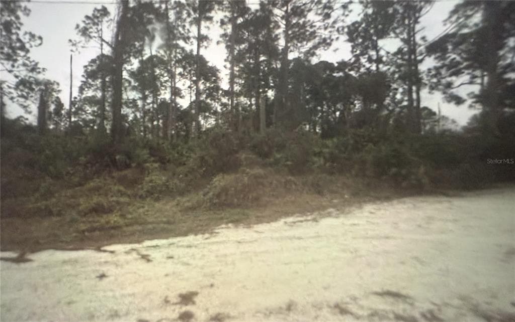 350 TERN AVENUE SEBRING, FL 33870