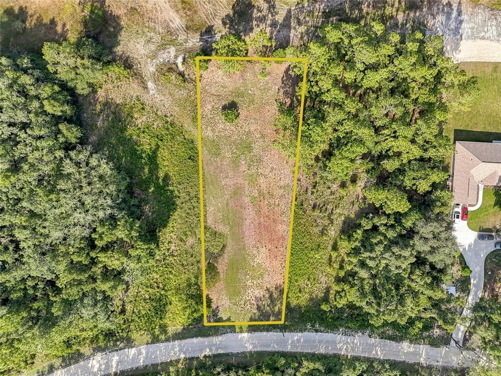 100 BERRYHILL DRIVE WEBSTER, FL 33597