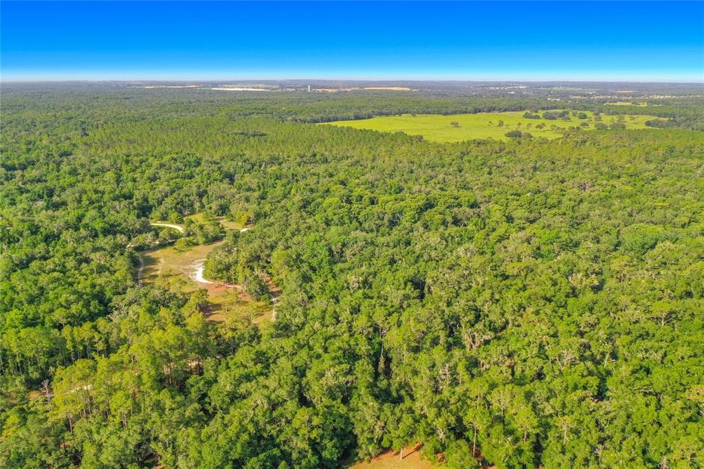 33099 CORAL ROCK DRIVE WEBSTER, FL 33597
