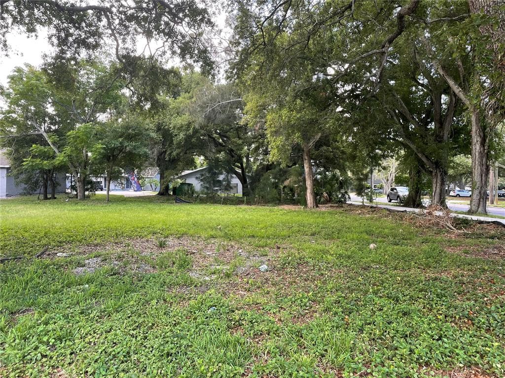 PINELLAS STREET