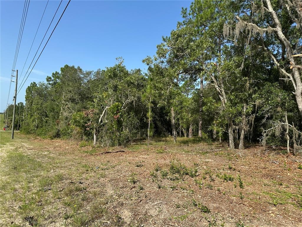 11274 S FLORIDA AVENUE FLORAL CITY, FL 34436