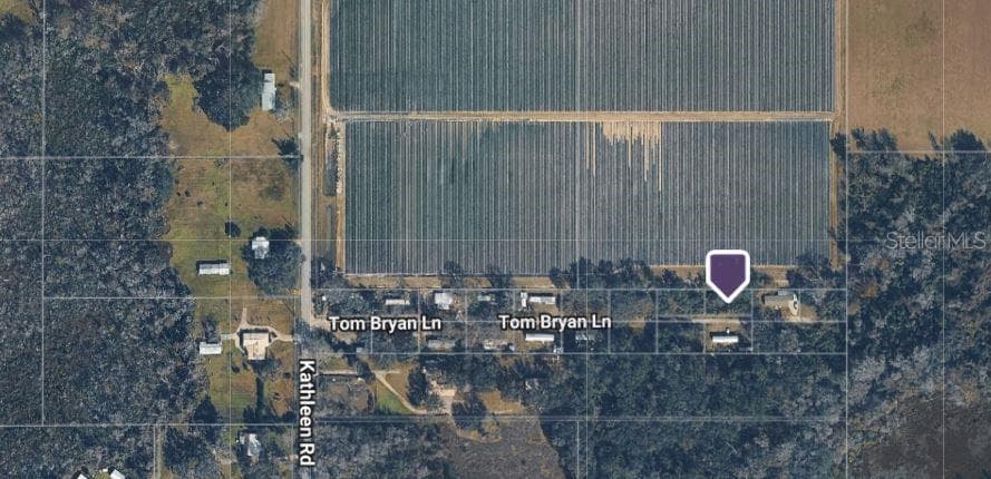 3617 TOM BRYAN LANE LAKELAND, FL 33810
