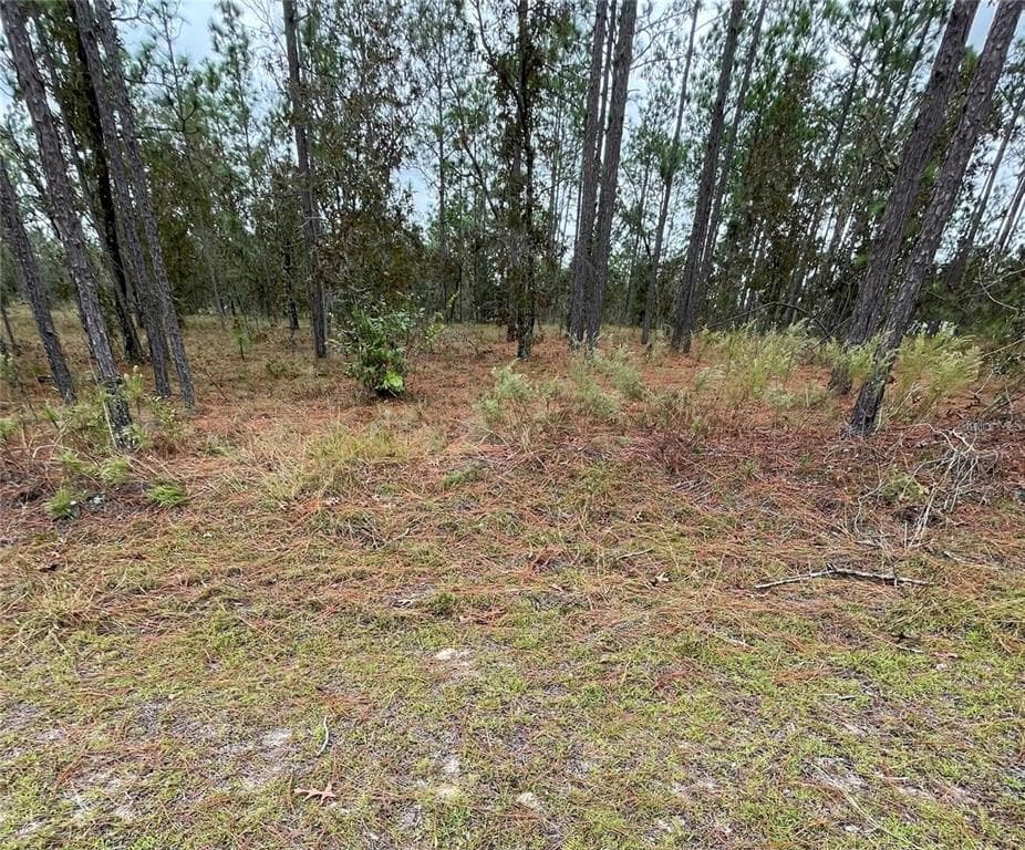 SE 133RD AVENUE DUNNELLON, FL 34431
