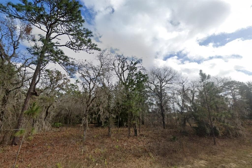 CRIDER ROAD WEEKI WACHEE, FL 34614