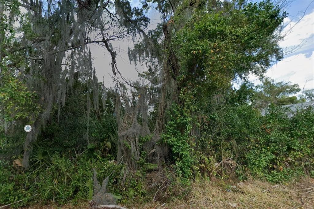 Vacant NW 6TH AVENUE GAINESVILLE, FL 32601