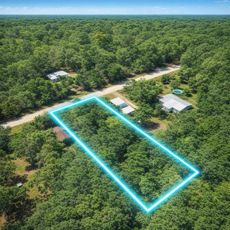 32478 SMALLMAN ST WEBSTER, FL 33597