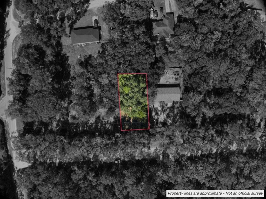 Lot #1 ST PATRICK DRIVE DUNNELLON, FL 34432