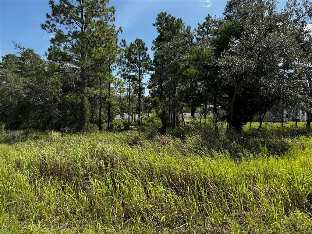 Lot 14 BARNVELDE ROAD WEEKI WACHEE, FL 34614