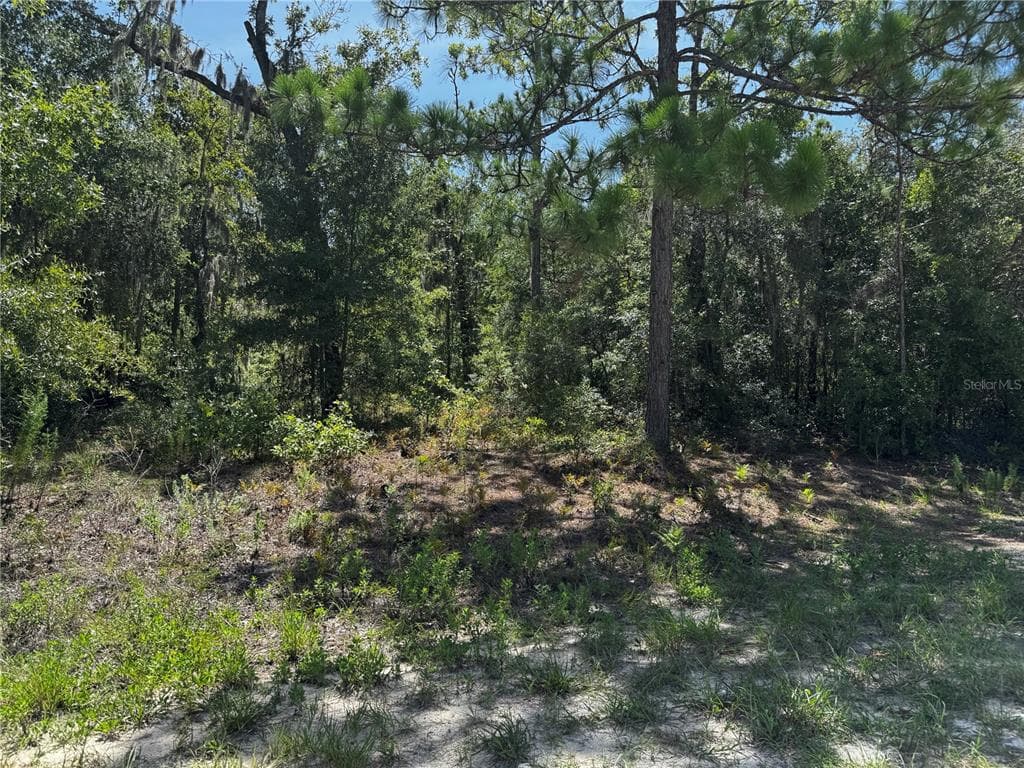 CRIDER ROAD UNIT 3 WEEKI WACHEE, FL 34614