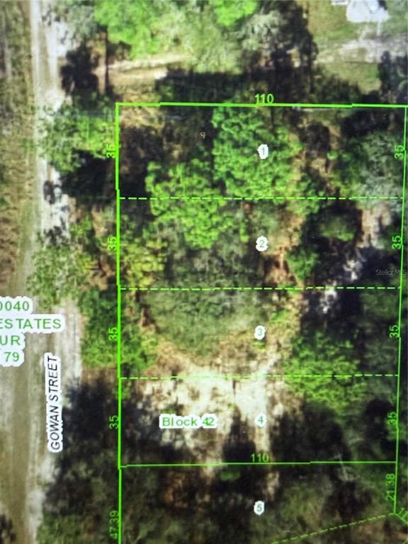 11142 GOWAN STREET NEW PORT RICHEY, FL 34654