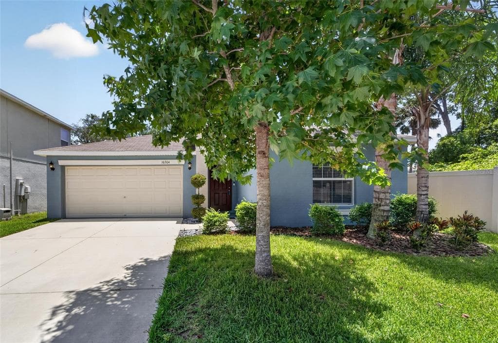 10304 STRAWBERRY TETRA DRIVE RIVERVIEW, FL 33578