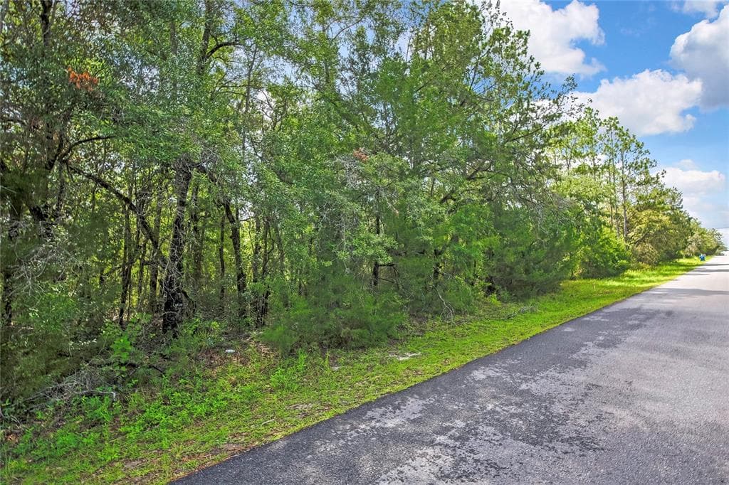 0 ENGLISH SPARROW ROAD WEEKI WACHEE, FL 34614