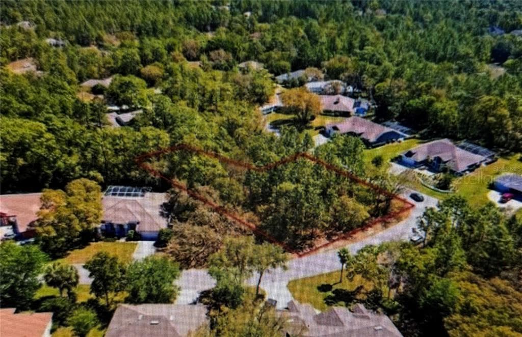 10 BONNIE DRIVE HOMOSASSA, FL 34446
