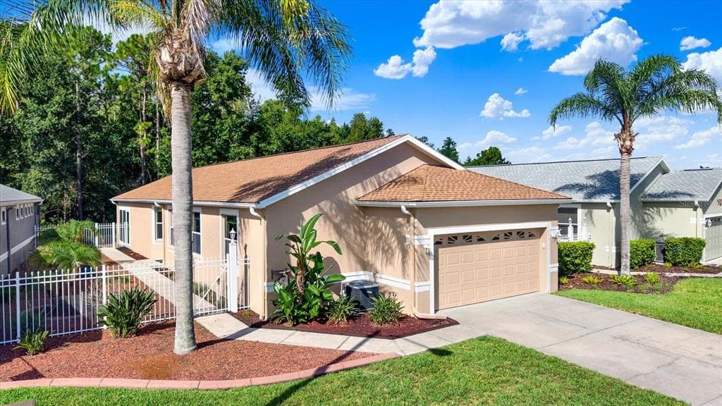 21054 DIAMONTE DR LAND O LAKES, FL 34637