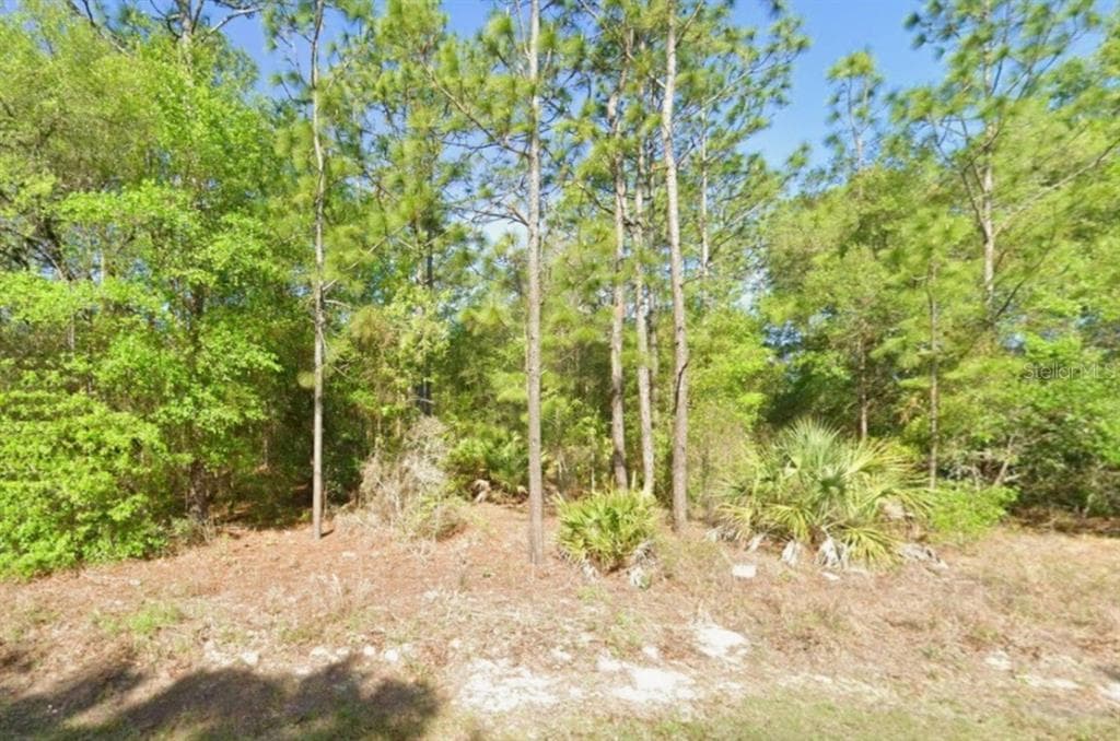 8621 N BLACKTHORN AVENUE CRYSTAL RIVER, FL 34428