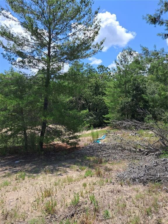 0 SW 65 AVE ROAD OCALA, FL 34473