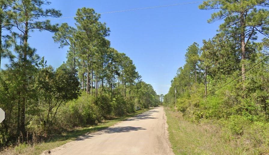 2515 BEECH BOULEVARD BUNNELL, FL 32110