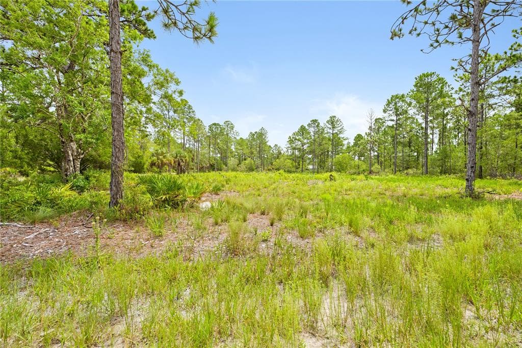 10052 YELLOWBIRD AVENUE WEEKI WACHEE, FL 34614