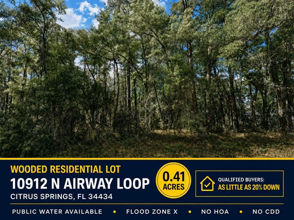10912 N AIRWAY LOOP CITRUS SPRINGS, FL 34434