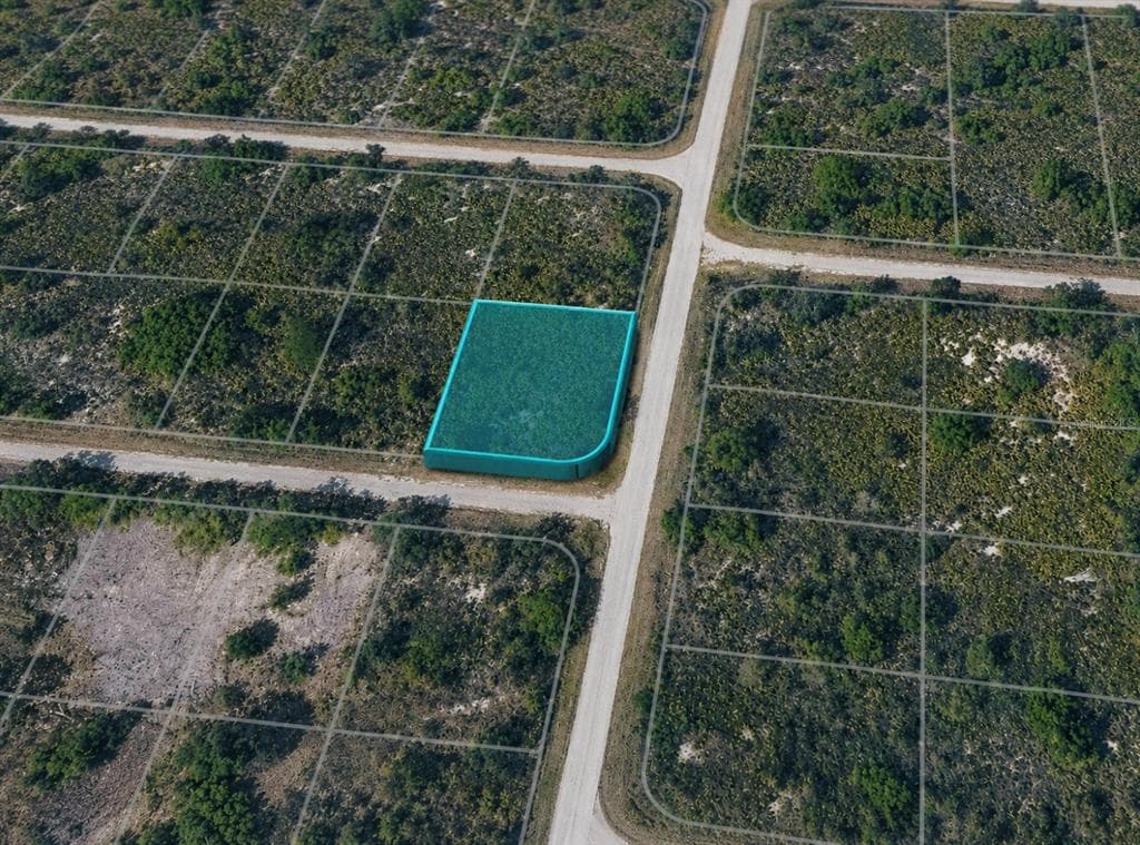 321 BELLANCA STREET NW LAKE PLACID, FL 33852