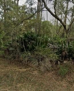 BRUSH STREET INTERLACHEN, FL 32148