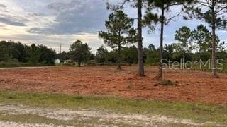 0 (BLK 177 LOT 12) OLEANDER DRIVE INDIAN LAKE ESTATES, FL 33855