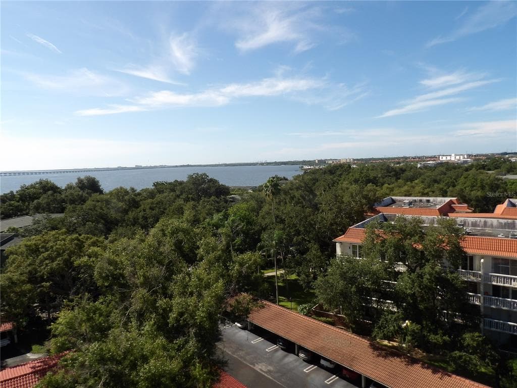 2699 SEVILLE BOULEVARD UNIT 802 CLEARWATER, FL 33764