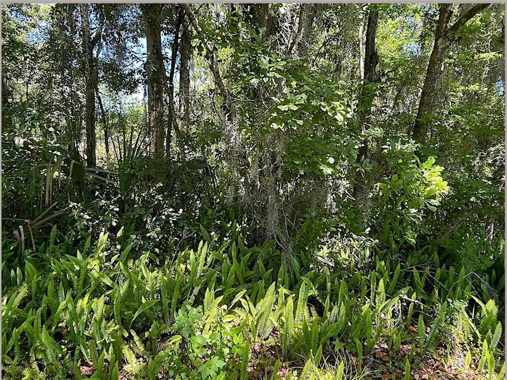 UNION STREET BROOKSVILLE, FL 34601